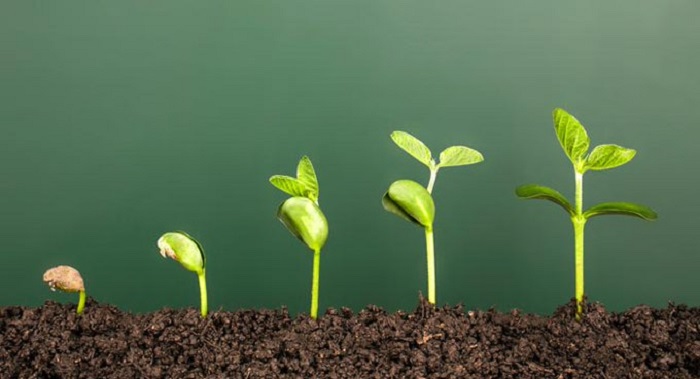 Organic Growth Masterclass: VUES, backed by Arx Equity Partners